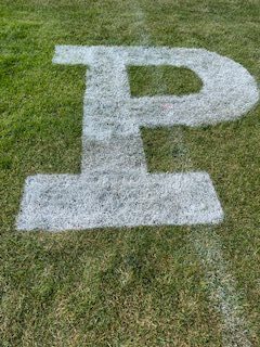 A white letter p painted on the grass.